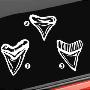 May include: Three white shark teeth silhouettes on a black background. The teeth are numbered 1, 2, and 3.