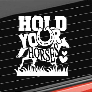 Horse Vinyl Decal, Hold your Horses Cowgirl, Horses Riding Decal Home/Laptop/Computer/Truck/Tumbler/Car Bumper Sticker Decal