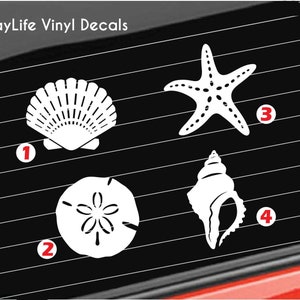 Sea Shells Vinyl Decal, Ocean Sand Dollar Conch Starfish Shell Decal, Beach Sea Shells Decal Car/Truck/Home/Laptop/Computer/Phone Decal image 1