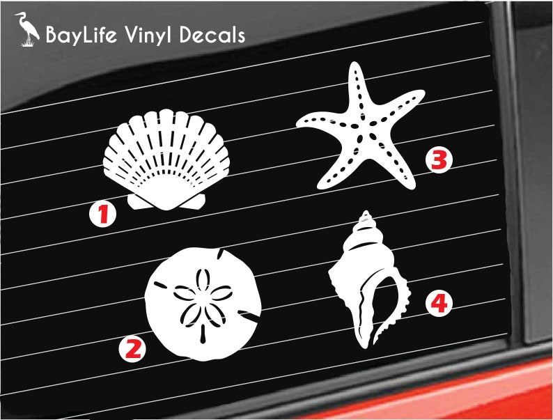 Sea Shells Vinyl Decal, Ocean Sand Dollar Conch Starfish Shell Decal, Beach Sea Shells Decal Car/Truck/Home/Laptop/Computer/Phone Decal image 1