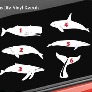 Whales Vinyl Decal, Various Whales Vinyl Decals, Whale Swimming Wall Vinyl Decal, Ocean Whales Sticker, Whales Window Vinyl Decal