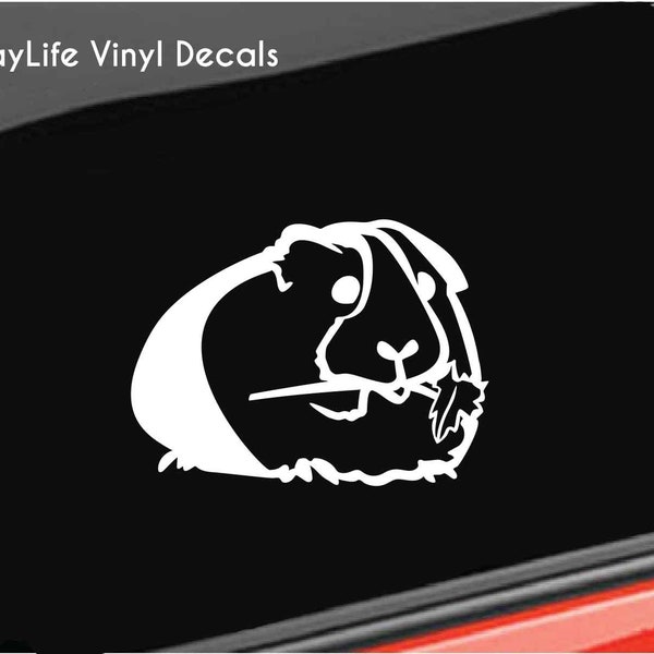 Guinea Pig on Car Etsy