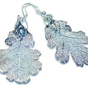 Real Oak Leaf Earrings in 925 Sterling Silver Nature Inspired Handcrafted Jewelry Gift for Her