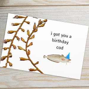 I got you a birthday cod- lustige Geburtstagskarte, Fischen Geburtstagskarte, niedliches Fischer Geschenk
