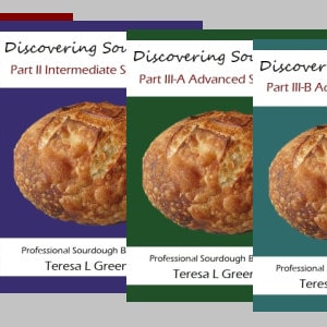 Discovering Sourdough -  Sourdough Bread Baking Recipes - 400 pages 4 Volumes PDF