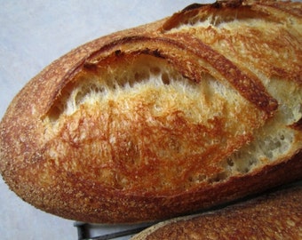 Basic White Sourdough