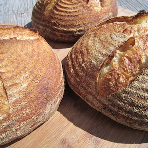 40 Hour Sourdough Bread Recipe Authentic Flavor!