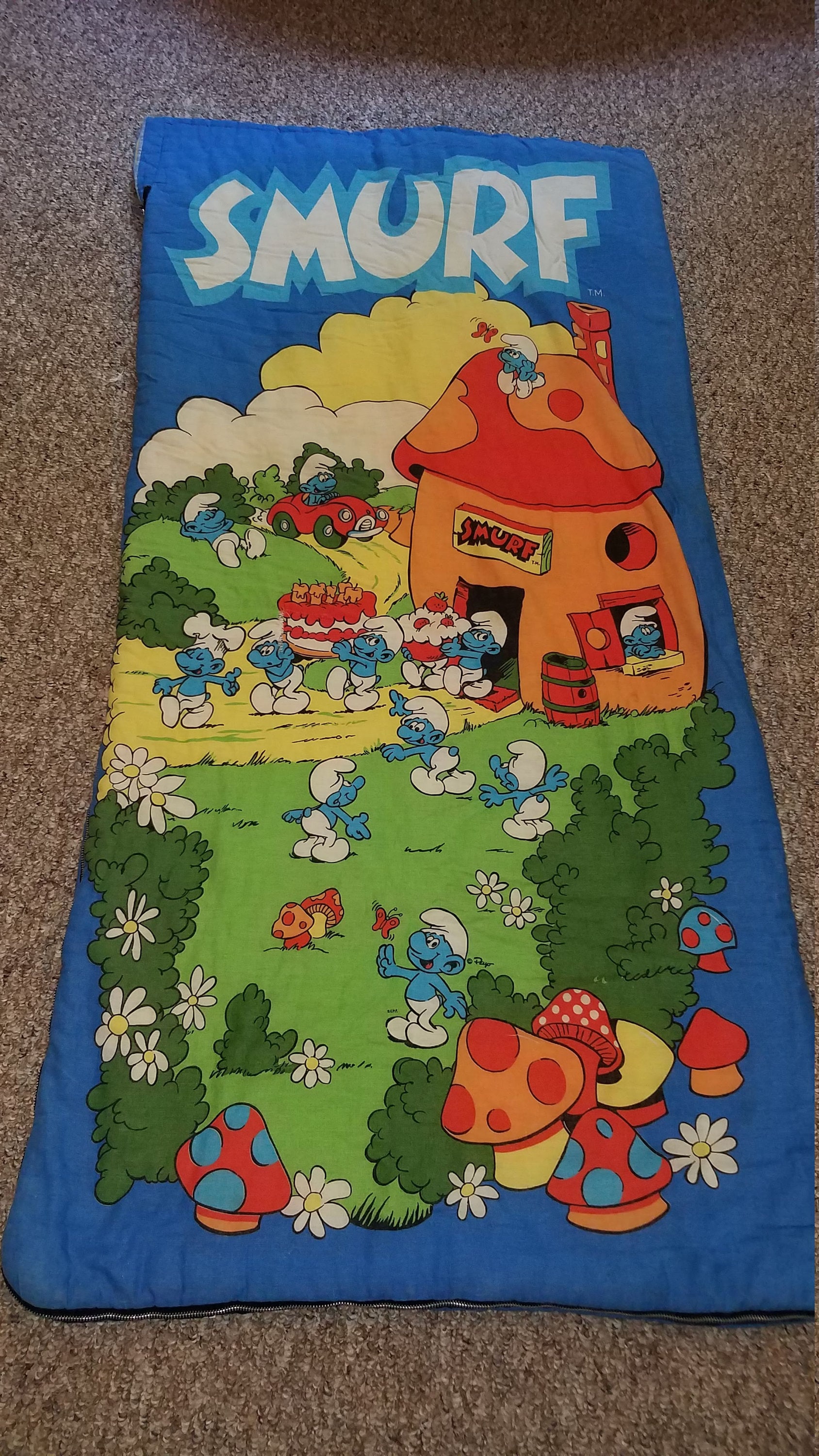 Smurfs Sleeping Bag - Etsy