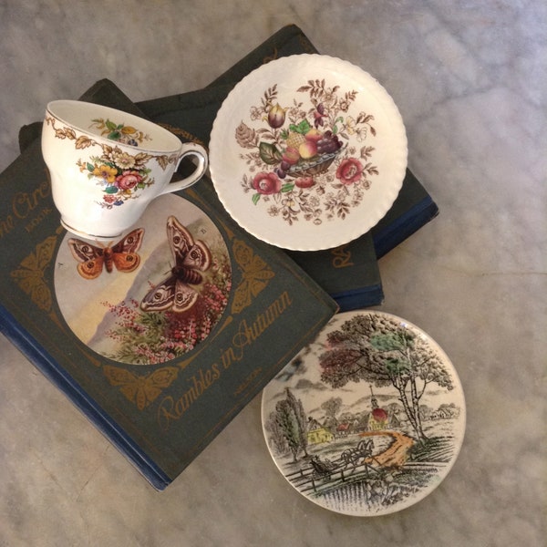 Vintage Tea set  Autumn styling collection of Tea cup saucer cake plate English country house mismatched tea set 1950's style fruit floral