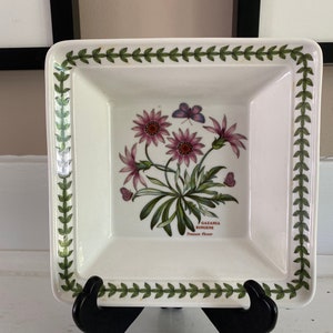 Portmerian The Botanic Garden Gazania Ringens, The Treasure Flower 7” Square Bowl, Susan Williams Ellis