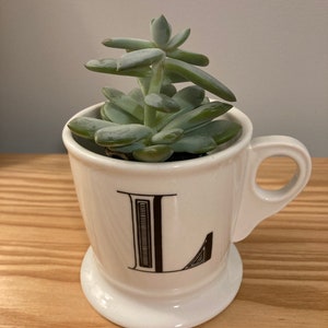 May include: A white ceramic mug with a black letter "L" on the front. The mug is filled with a green succulent plant.