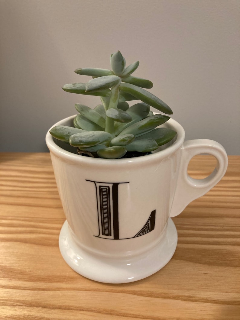 May include: A white ceramic mug with a black letter "L" on the front. The mug is filled with a green succulent plant.