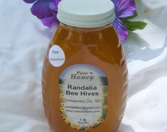 Raw Maryland Honey, 1 LB Glass Jar, Randalia Bee Hives