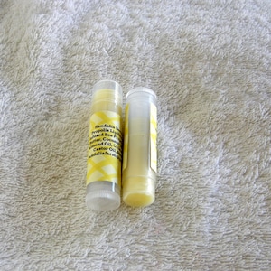 Set of 2 Bee Propolis Lip Balm, Randalia Bee Hives