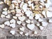 50 Tiny Mini Wood Hearts, Wood Confetti Hearts- Rustic Wedding Decor- Table Decorations- Wooden Hearts- Guest Book Decor- DIY Craft Supplies 