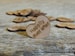 100 Happily Ever After 1' Wood Hearts, Wood Confetti Engraved Love Hearts- Rustic Wedding Decor- Table Decorations- Small Wooden Hearts 