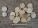 1 inch wooden TAG craft circles, DIY craft supplies one inch wood circles, wood coins, wood disk, rounds, cookies, with hole 