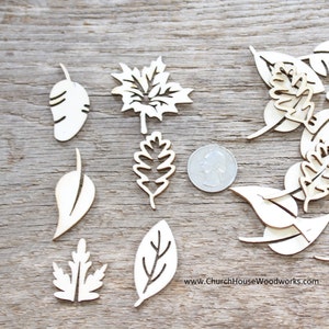 25 pcs Assorted 1-1/4&quot; to 1-1/2&quot; Leaf Wood Cutouts – Unfinished Birch Veneer Blanks – DIY Craft Supply for Fall, Autumn, Scrapbooking