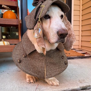 Dog clearance detective costume