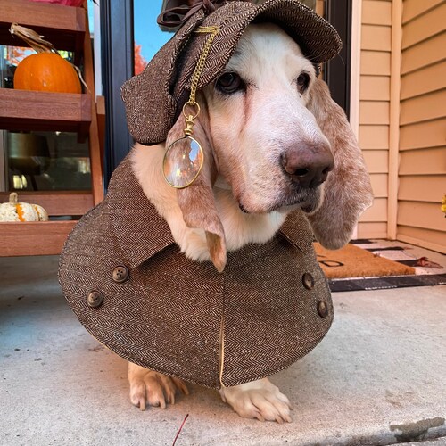 dog tweed hat