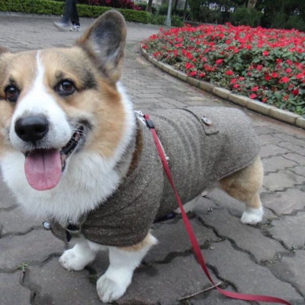 Corgi tweed coat Large Welsh Corgi dark brown herringbone coat with collar & fleece lining Winter coat for medium large dog (LB-ML-CG)