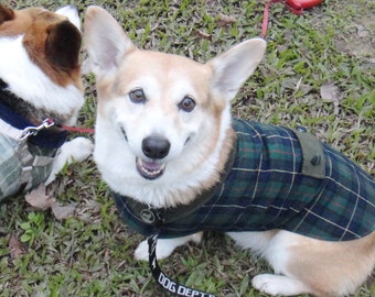 Green red tartan plaid winter jacket Green check coat with collar for Welsh Corgi コーギー Beagle or dog of similar size  (LB-MM-CG)