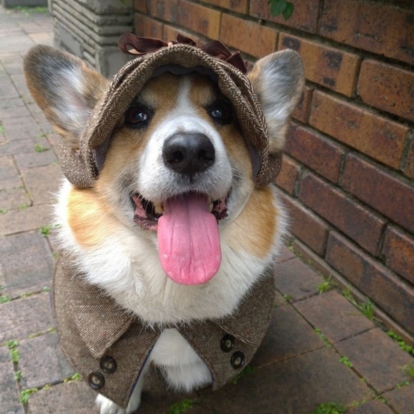 Dog tweed CAPE Dark brown herringbone tweed wool capelet with fleece lining for medium breed dogs  (MS-MM)