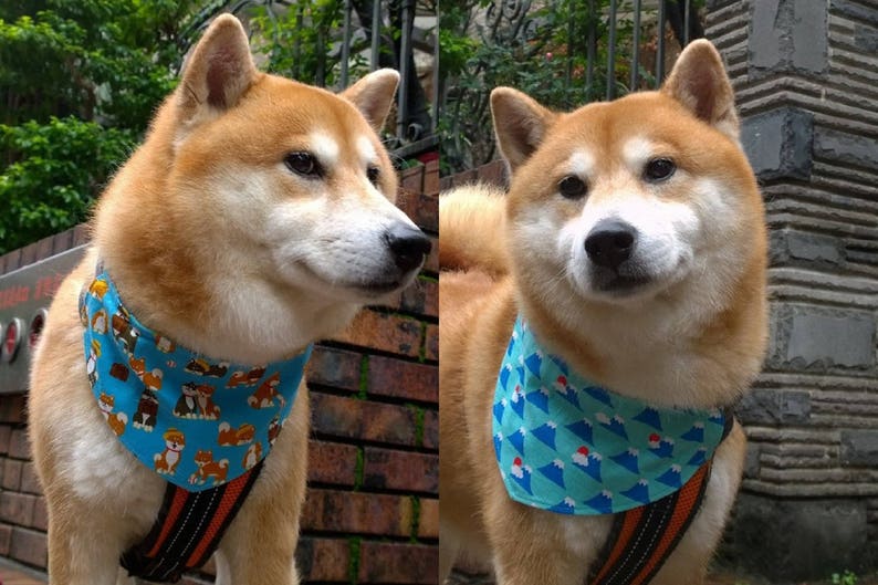 Shiba Inu Mount Fuji Reversible Cotton Bandana Pet Bandana Slip On Dog Collar Bandana With Fuji Mountain Red Tan Black Shiba Inu L