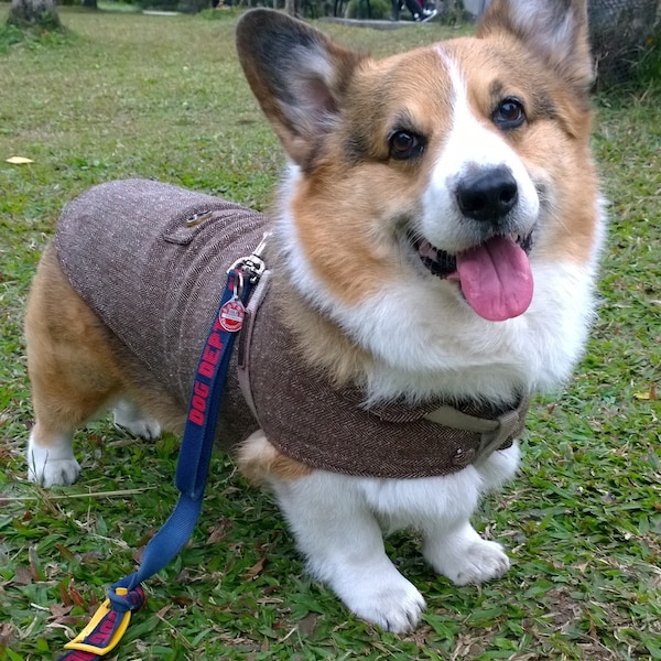 Corgi coat Herringbone tweed jacket for Welsh Corgi Long bodied Dog winter coat dark brown herringbone woolly coat with fleece ( LB-MM-CG )