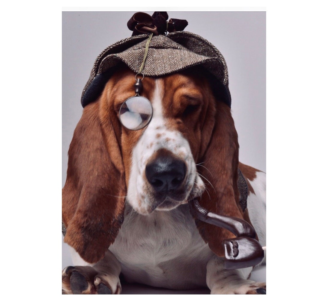 Herringbone Tweed Deerstalker Hat With No Earholes Pet Etsy