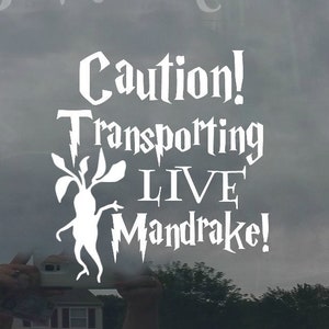 Naklejka na samochód Transporting Live Mandrake - Naklejka na samochód Mandrake Baby on Board - Zabawna naklejka na samochód Baby on Board - Naklejka na samochód Mandrake on Board Baby - Wiele kolorów