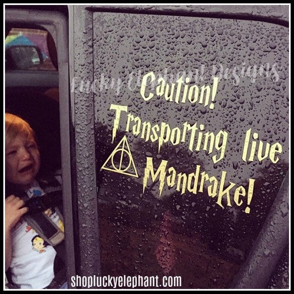 Vervoer Live Mandrake Car Decal - Mandrake Baby on Board Decal - Live Mandrake Decal - Mandrake on Board Baby Decal - Vele Kleuren