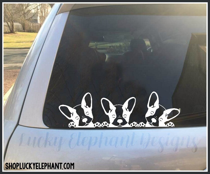 frenchie car decal