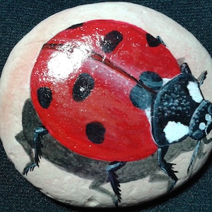 May include: Hand-painted stone featuring a red ladybug with black spots and a black head. The ladybug is painted on a light beige stone, with a shadow effect. The artwork is a decorative item.