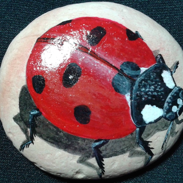 Hand Painted River Rock, Stone, Insects, Lady Bud, Beetles, Paper Weight, Garden Decorations, Yard Art, Christmas Gift Ideas on etsy.com