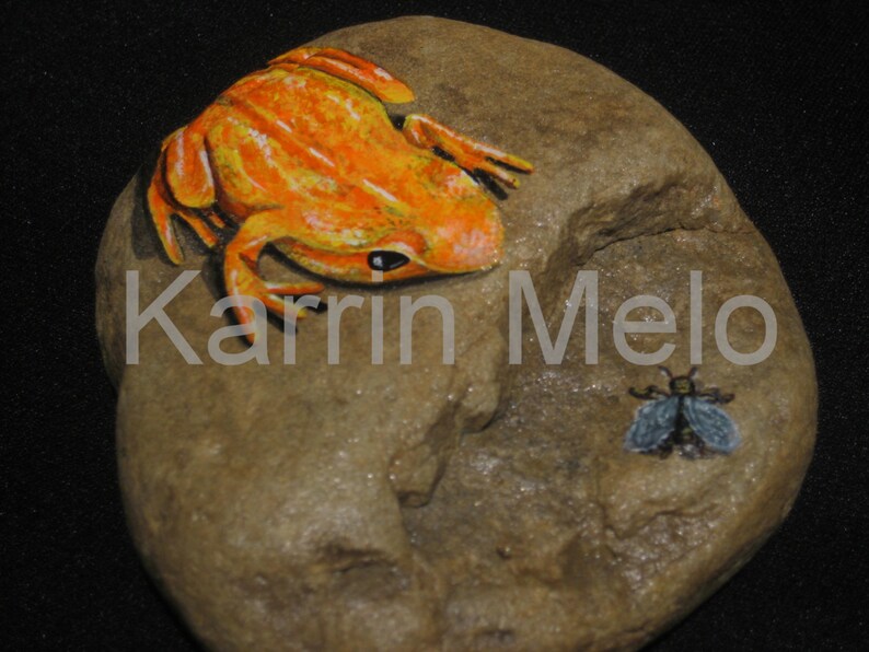 Painted Rock/Frogs/Painted Animal Stones/Acrylics/Paper Weights/Home Decor/Garden stones/Garden ornaments/Painted FrogsGreat Gifts on Etsy image 3