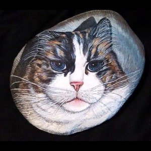 Puede incluir: Una piedra pintada a mano presenta un retrato detallado de un gato. El gato tiene ojos azules, nariz rosa y pelaje marr&oacute;n, blanco y negro. La obra de arte est&aacute; sobre un fondo negro, resaltando los rasgos del gato.