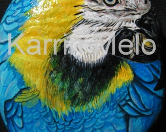 Blue and Gold Macaw, Hand Painted, River Stone, Home Decor on Etsy