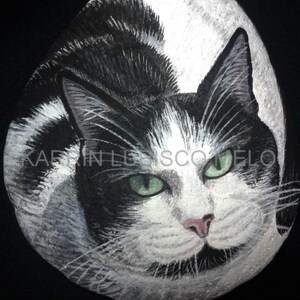 Puede incluir: Una piedra pintada que representa un gato blanco y negro con ojos verdes. El pelaje del gato est&aacute; detallado con manchas negras y pelaje blanco. La cara del gato est&aacute; centrada, con una nariz rosa y bigotes. La piedra est&aacute; sobre un fondo negro.