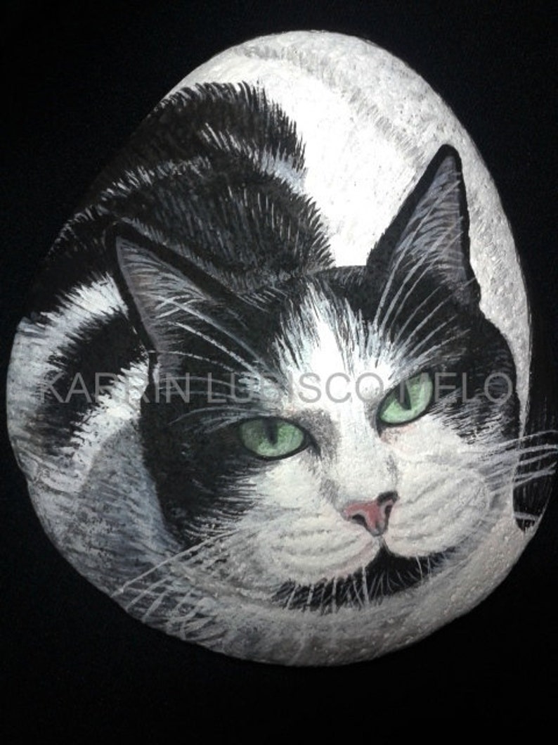 Puede incluir: Una piedra pintada que representa un gato blanco y negro con ojos verdes. El pelaje del gato est&aacute; detallado con manchas negras y pelaje blanco. La cara del gato est&aacute; centrada, con una nariz rosa y bigotes. La piedra est&aacute; sobre un fondo negro.