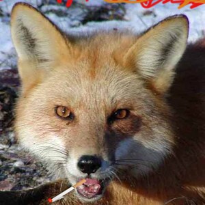 Controversial Hat with a backstory image 2