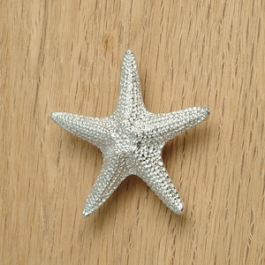 Op de afbeelding: Zilveren stervormige kastknop met een getextureerd oppervlak.