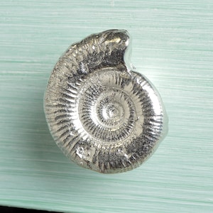 Ammonite Cabinet handle (Small) | Solid Pewter Bathroom Cupboard Door Knobs | Made With Finesse