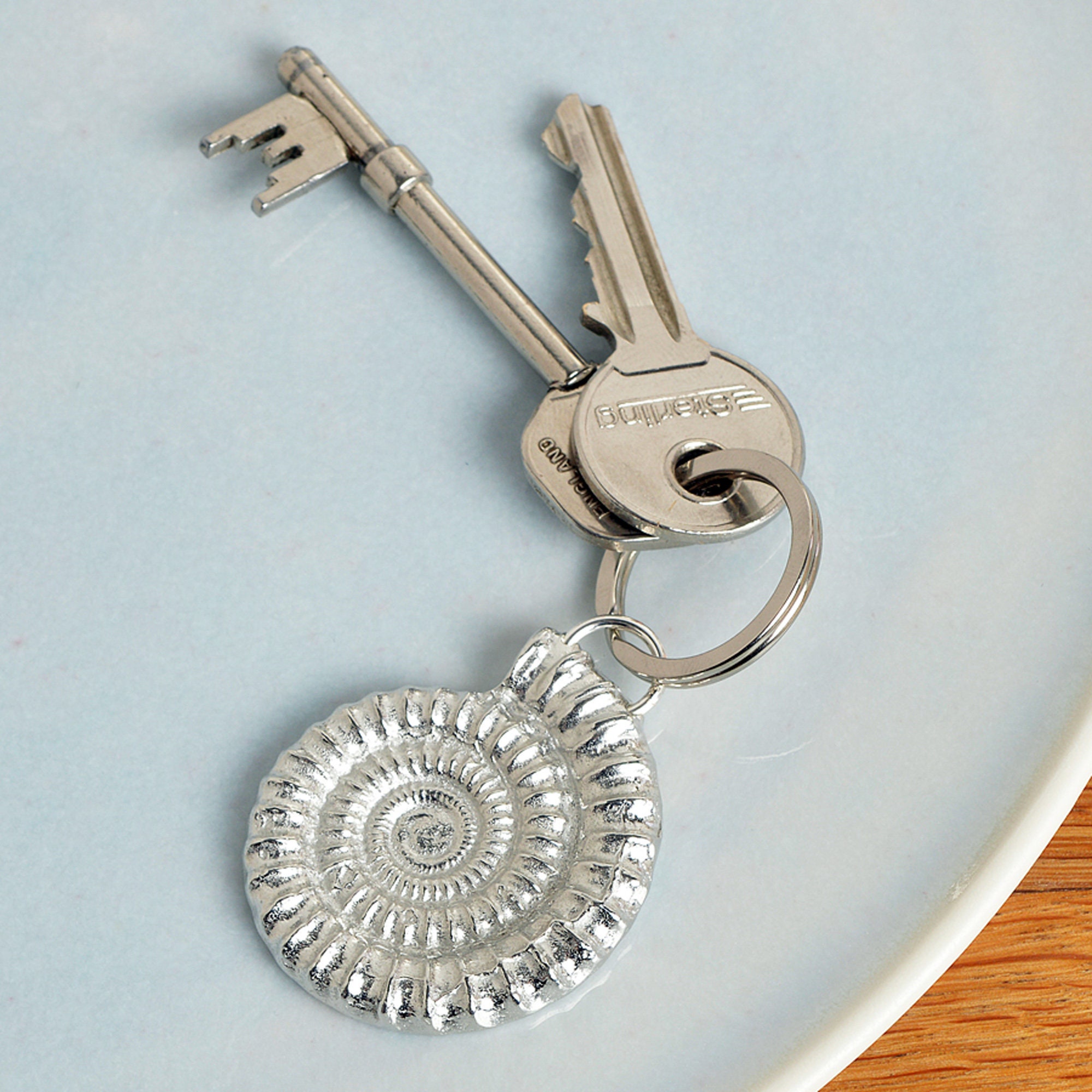 fossil keyring