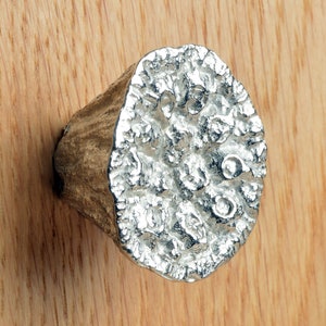 May include: A silver-toned, textured, round cabinet knob with a unique, organic design.