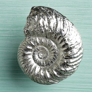Ammonite Cabinet handle (Large) | Solid Pewter Bathroom Cupboard Door Knobs | Made With Finesse