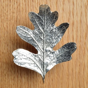 May include: A silver-coloured metal leaf with a detailed vein pattern. The leaf is shaped like an oak leaf and has a textured surface.