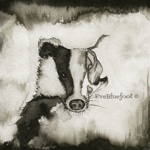 Badger Illustration, Black and White Badger Painting, Sepia Ink Badger Drawing, Animal Skull Illustration, Bone Art, Badger Skull, Goth Art