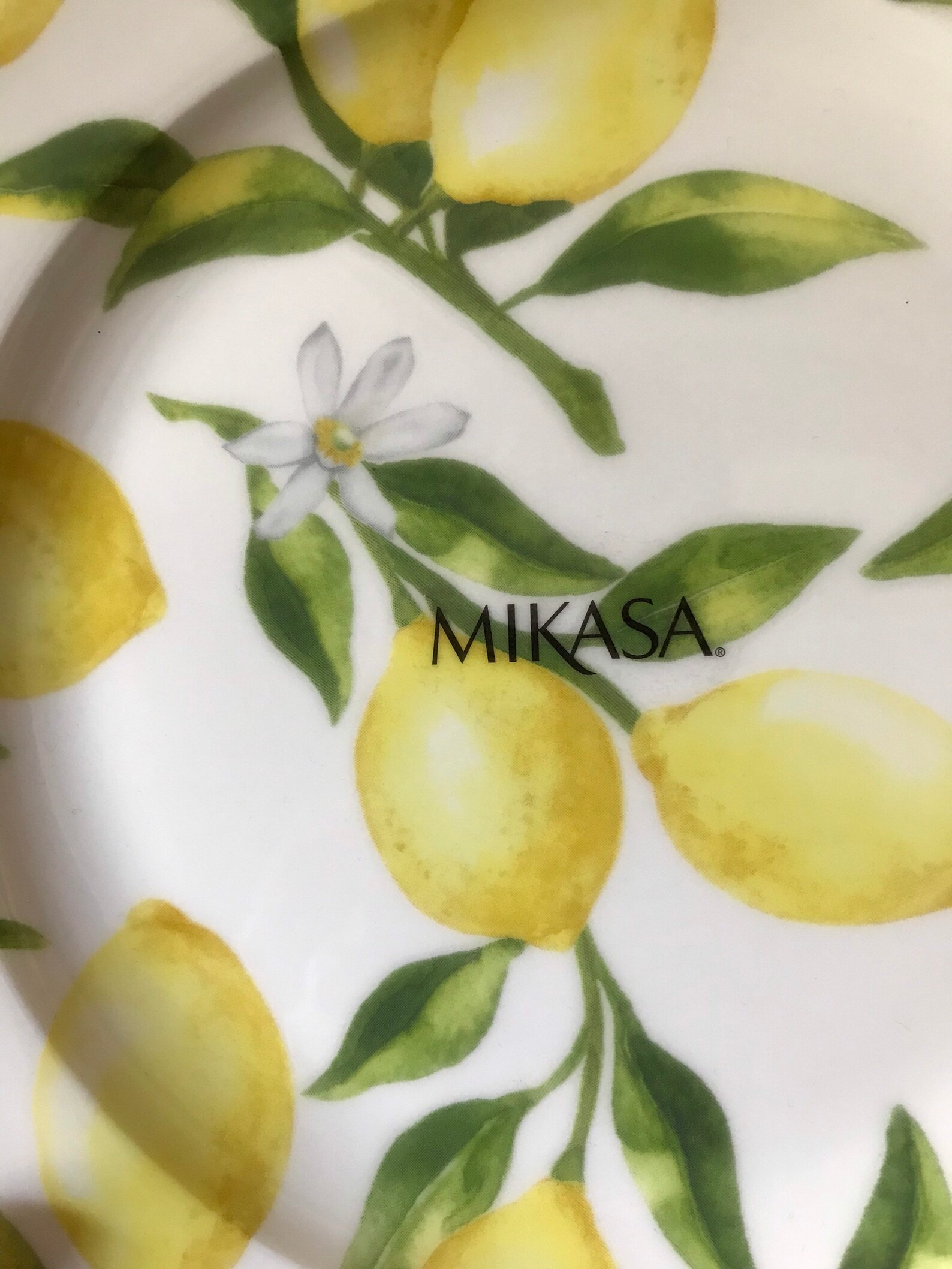 Mikasa Lemon Salad Plates New Lemons by Mikasa Etsy