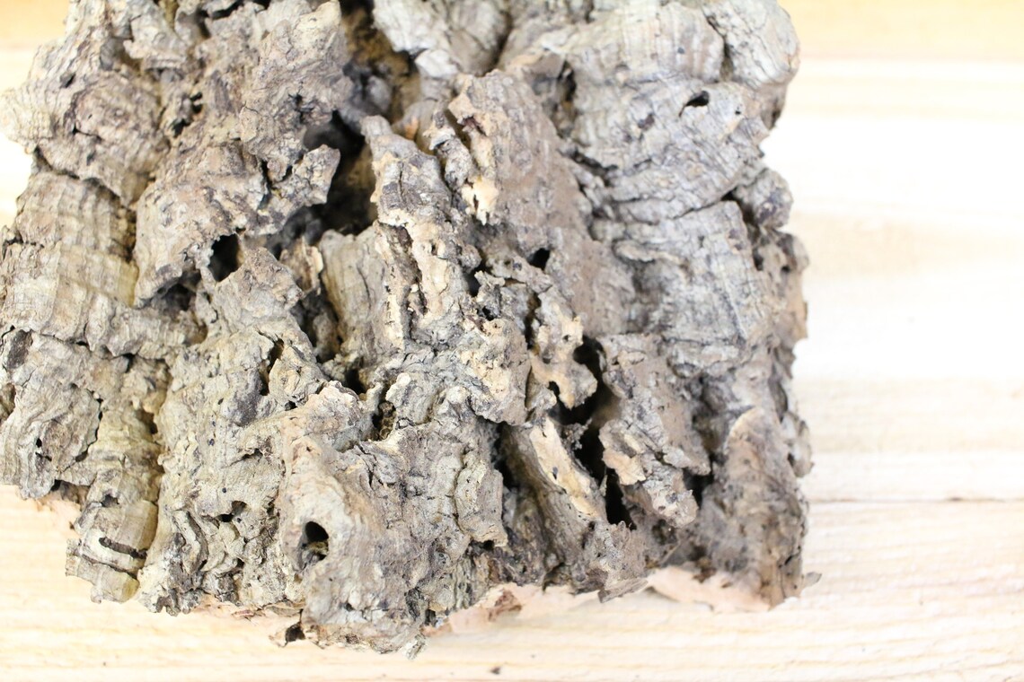 24 Lbs Cork Bark Slabs for Air Plants & Bromeliads Free Etsy